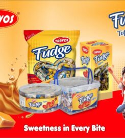 Shree Balaji Processors (I)