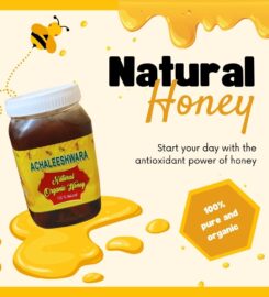 Achaleeshwara Pure Forest honey