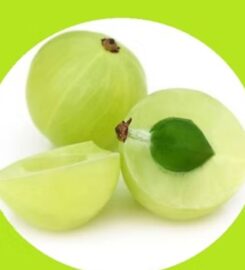 Zivisha Herbal & Organic Pvt Ltd