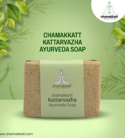 Chamakkatt Herbal Products