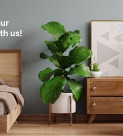 Nilambur Furniture