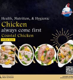 Animal feed manufacturer | Chicken Products