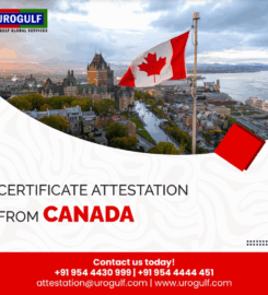 Urogulf Attestation, Apostille, HRD, MEA, WES, Data Flow Verification