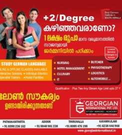 Georgian International Pvt Ltd | Study Abroad Consultancy