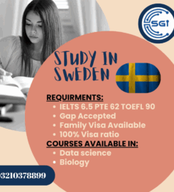 STUDY GUIDE INTERNATIONAL