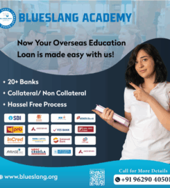 BLUESLANG ACADEMY PRIVATE LIMITED – AN ISO CERTIFIED