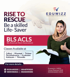 Eduwizz Academy Kozhikode