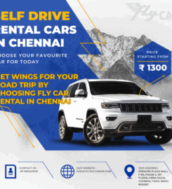 Fly self driven cars