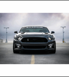 Onroadz Car Rental – Self Drive Cars in Coimbatore